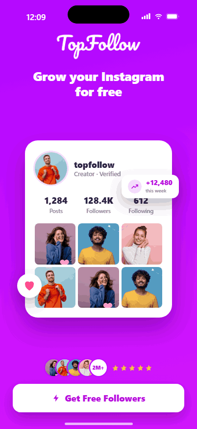 TopFollow Instagram profile growth preview